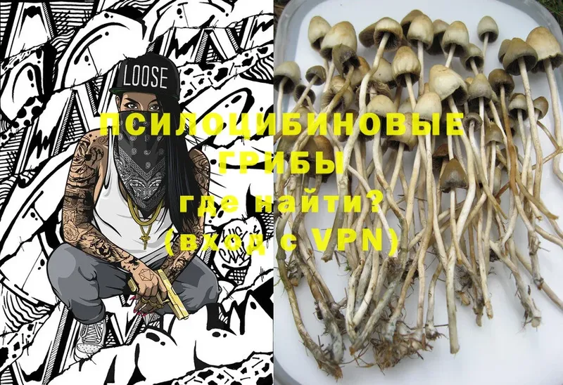 Галлюциногенные грибы MAGIC MUSHROOMS  Тольятти 